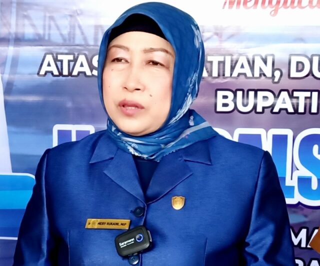 Ketua DPRD Barito Utara Apresiasi Penerapan SPBE