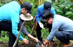 Pj Bupati dan Unsur FKPD Barito Utara Tanam Pohon Penghijauan