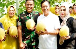 Pemkab Barito Utara Anggarkan Penyiapan Bibit Melon Pada Dua Dinas