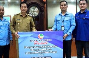 PT Bank Kalteng Cabang Muara Teweh Serahkan CSR Sembilan Ekor Sapi Kurban Kepada Pemkab Barito Utara