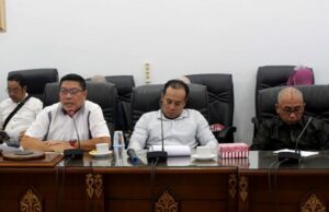 Tata Batas Desa Panaen dan Desa Pelari Hingga Saat Ini Masih Belum Selesai