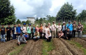 Dilahan Seluas 3 Hektar, Gapoktan Pusaka Bura Jingah Panen 200 Kg Tomat