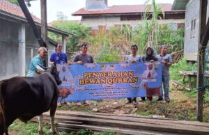 Ketua Dewan Serahkan Tiga Ekor Sapi Kurban ke Sekretariat DPRD Barito Utara