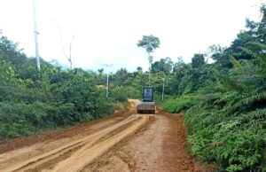 Pemdes Haragandang Lakukan Penanganan Jalan Haragandang Menuju Sei Intu