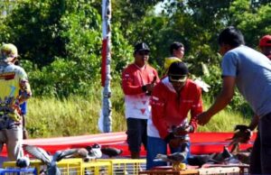 26 Tim Dari Seluruh Indonesia Ikuti Lomba Merpati Kolong Tingkat Nasional di Barito Utara