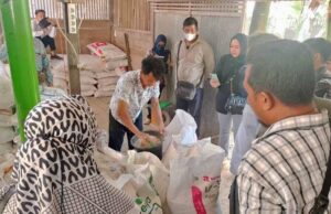 Disnakertranskop UKM Gelar Pelatihan Pengolahan Jagung Menjadi Pakan Ternak