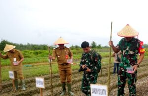 Pj Bupati Barito Utara Tanam Jagung Serentak di Desa Trahean
