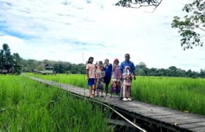 Pertanian Berkelanjutan Kunci Kesejahteraan Para Petani di Desa Bintang Ninggi II