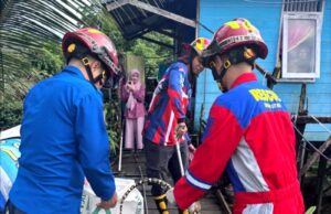 Disdamkarmat Barito Utara Evakuasi Ular Piton 2,5 Meter dari Kandang Ayam Warga