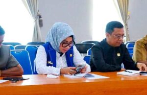 Ketua Komisi II DPRD Barut Tekankan Pentingnya Partisipasi Masyarakat dalam Konsultasi Publik RKPD 2026