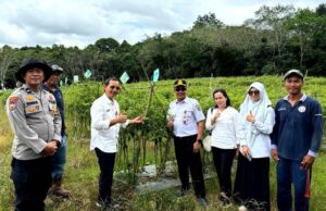 DKPP Barito Utara Dorong Program P2L untuk Stabilkan Harga Cabai Rawit Selama Ramadhan