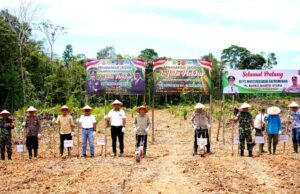 Pj Bupati Ajak Masyarakat Sukseskan Program Ketahanan Pangan Lewat Tanam Jagung di PT MPG