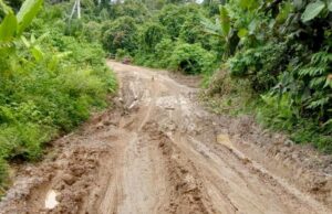 Kadis PUPR Tegaskan Penanganan Darurat Kerusakan Jalan Simpang 30 Segera Dilakukan