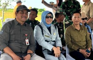 Ketua DPRD Barut Panen Raya Padi Serentak, Ajak Sinergi Majukan Pertanian Lokal