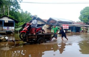 Banjir Bawa Berkah, Jasa Getek Gerobak Ramai Antar Sepeda Motor di Jalan Meranti Muara Teweh