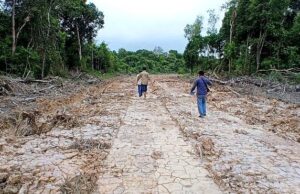 DPRD Barut Dampingi Kades Butong dan Petugas PLN Kalteng Survei Rencana Jaringan Listrik di Dua Desa