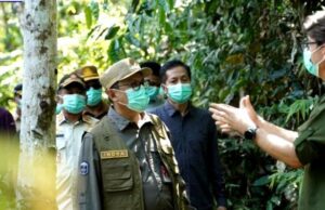 Pj Bupati Barito Utara Tegaskan Dukungan untuk Konservasi Alam Kalimantan