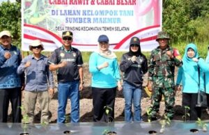 Pj Ketua TP PKK dan Dinas Pertanian Dorong Ketahanan Pangan Keluarga