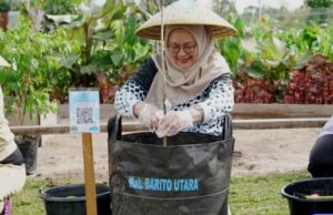 Pj Ketua TP PKK Barito Utara Ikut Tanam Buah di Palangka Raya: Dorong Kemandirian Pangan Keluarga