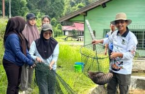 Dukung Ketahanan Pangan Daerah, DKPP Barito Utara Panen Bibit Ikan di BPBAT Lahei