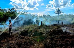 TNI dan Warga Desa Jamut Buka Lahan Pertanian Baru untuk Mewujudkan Ketahanan Pangan Nasional