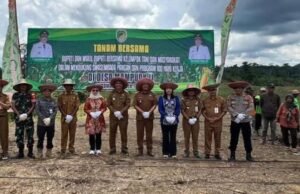 Perkuat Ketahanan Pangan di Barito Utara, Bupati Tanam Perdana Jagung Hibrida di Teweh Timur