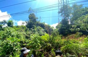 Pemkab Barito Utara Sigap Tanggapi Potensi Longsor Ancam Tower Telekomunikasi di Desa Sikui