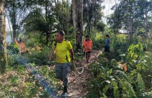 Karhutla di Desa Kandui Berhasil Dipadamkan, MPA Bergerak Cepat Cegah Meluasnya Api