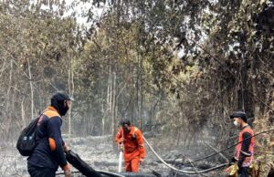 BPBD Barito Utara Tangani Dua Titik Karhutla, Total Lahan Terbakar Capai 1,9 Hektar