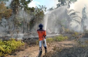 Karhutla Kembali Terjadi Di Barito Utara, Total Lahan Terbakar Capai 1,4 Hektar
