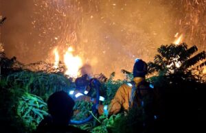 5,06 Hektar Lahan di Barito Utara Terbakar, BPBD Barito Utara Berjibaku Padamkan Karhutla di Tiga Lokasi