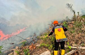 Respons Cepat BPBD Barut Padamkan Karhutla di Kelurahan Jambu, Lahan 0,9 Hektar Berhasil Diamankan